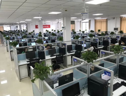 遵義軟件園 以服務外包為基礎，三位一體促進第三產業(yè)發(fā)展