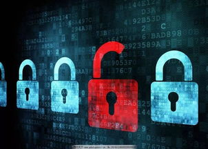 數(shù)智融合新生態(tài) 網(wǎng)絡安全筑基，智慧養(yǎng)老拓界，產業(yè)集聚賦能